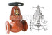 Marine Cast Iron Screw Down Check Globe Valves F Lamtine